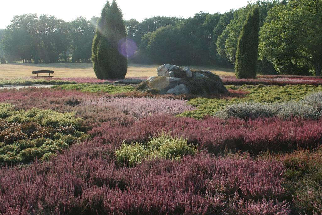 Ferienwohnung Lueneburger Heide Schneverdingen Exteriör bild